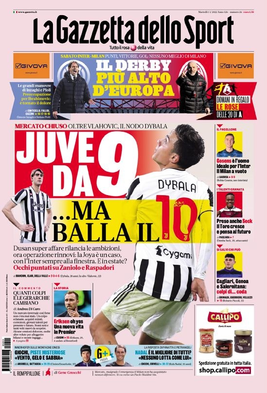 训练动态或 训练动态或